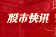 长鸿高科：2024年半年度净利润约9657万元，同比增加16.14%