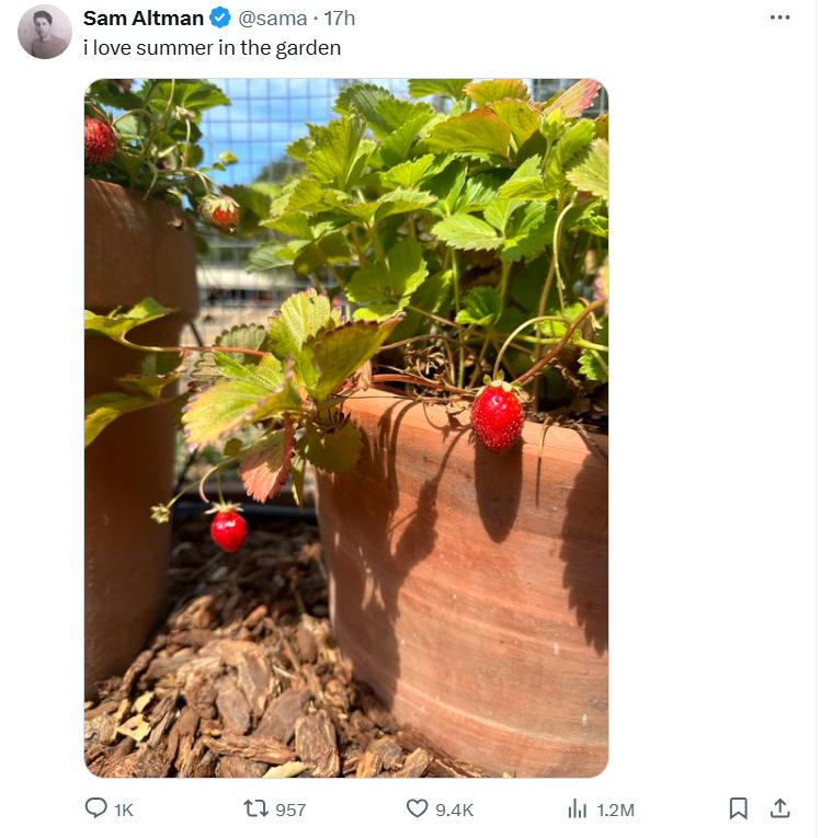OpenAI奥尔特曼在X上发布草莓照片,网友热议!隐喻“草莓”项目?内部人士曾警告:或威胁全人类
