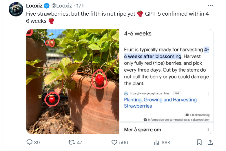 OpenAI奥尔特曼在X上发布草莓照片,网友热议!隐喻“草莓”项目?内部人士曾警告:或威胁全人类