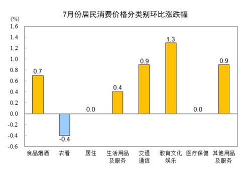 国家统计局:7月份居民消费价格上涨0.5%