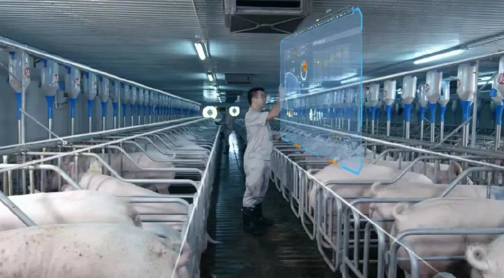 重庆老板养猪凶猛,年进账200亿